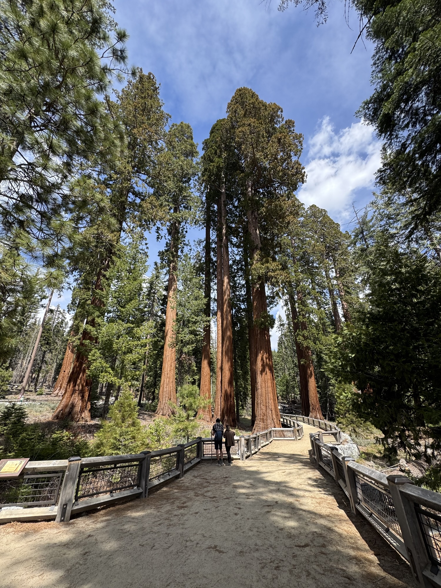 22.04.2025 Yosemite – Fresno