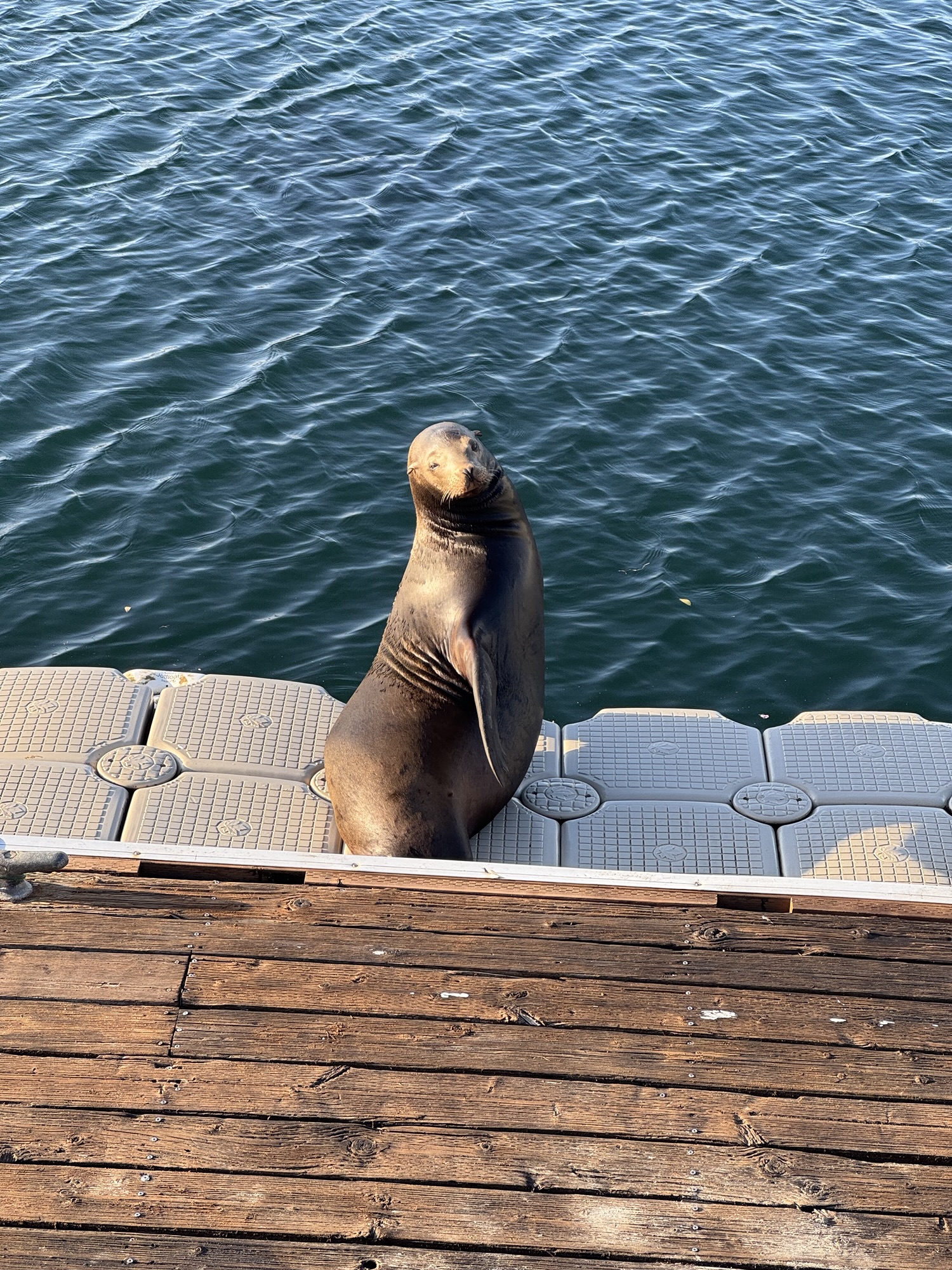 06.05.2025 Santa Barbara – Monterey