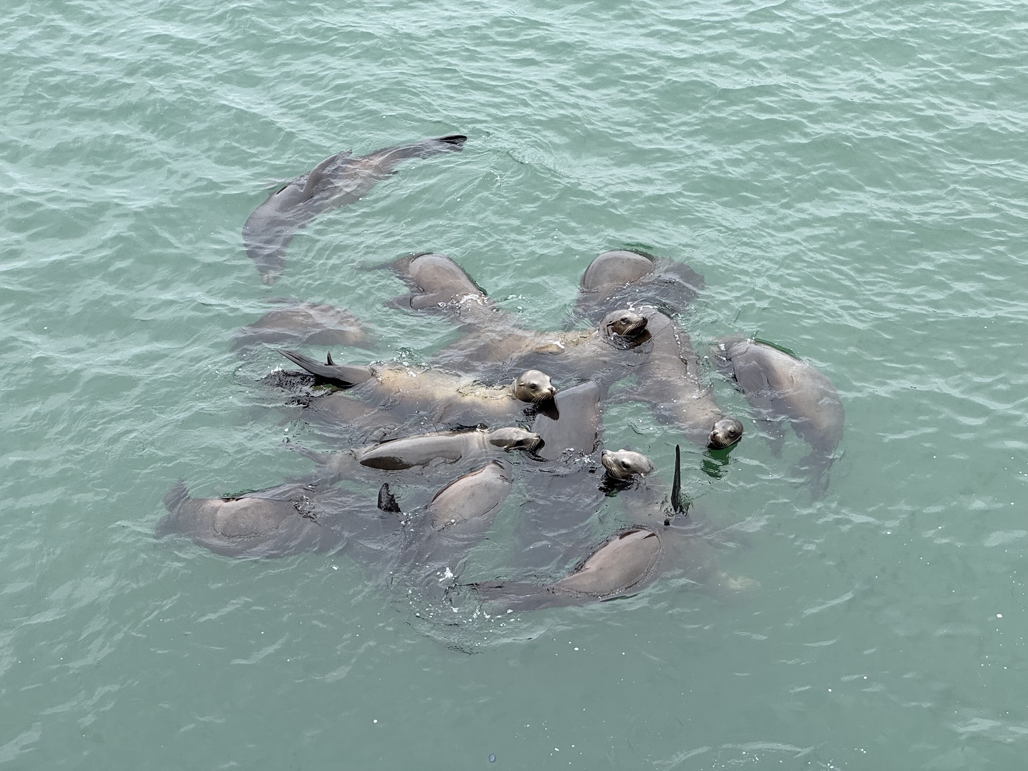 07.05.2025 Monterey – San Francisco